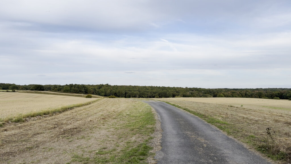 A country lane through the fields near Bayfield Brecks